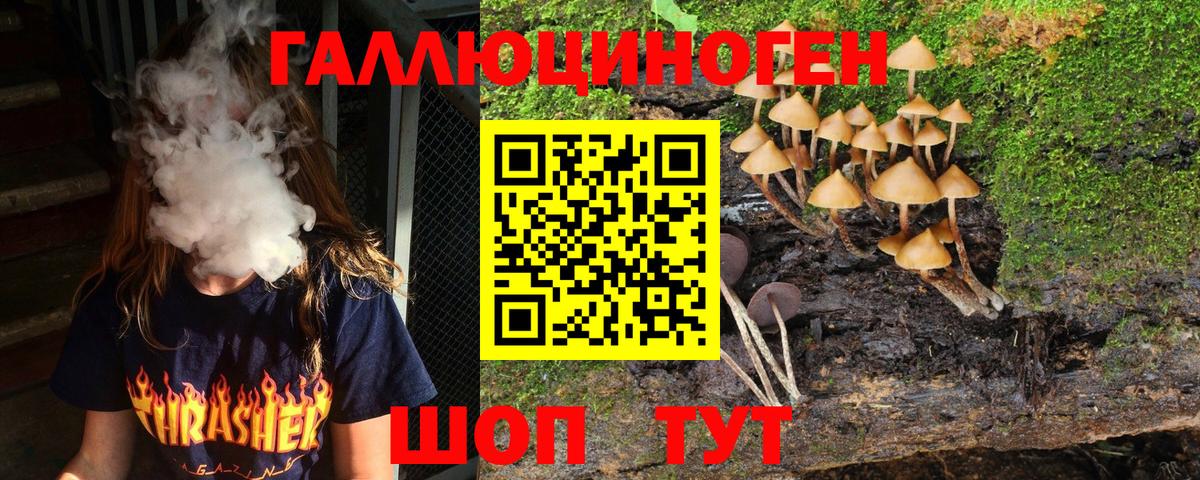 Галлюциногенные грибы Cubensis  Вход с VPN  Семёнов 